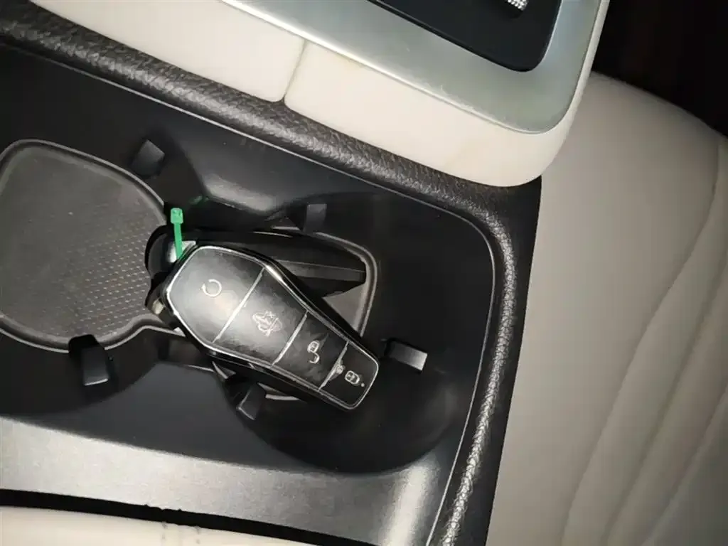 BYD Pro New Energy — фото 4