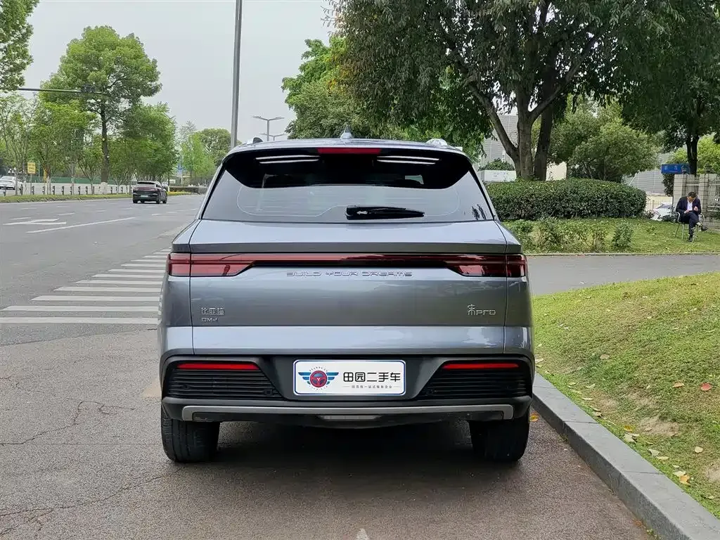 BYD Pro New Energy — фото 5