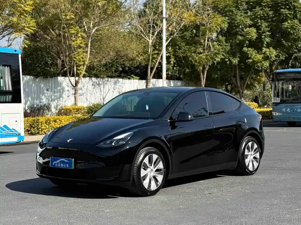 Tesla Model Y — фото 1