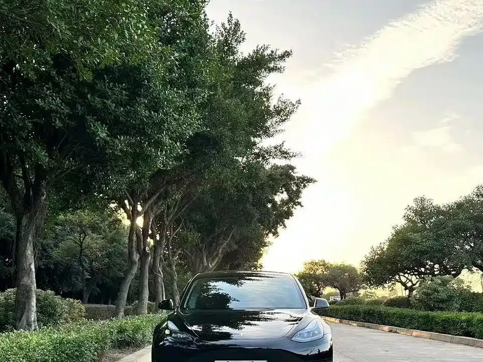 Tesla Model 3 — фото 7