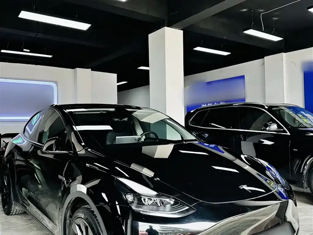 Tesla Model Y — фото 10