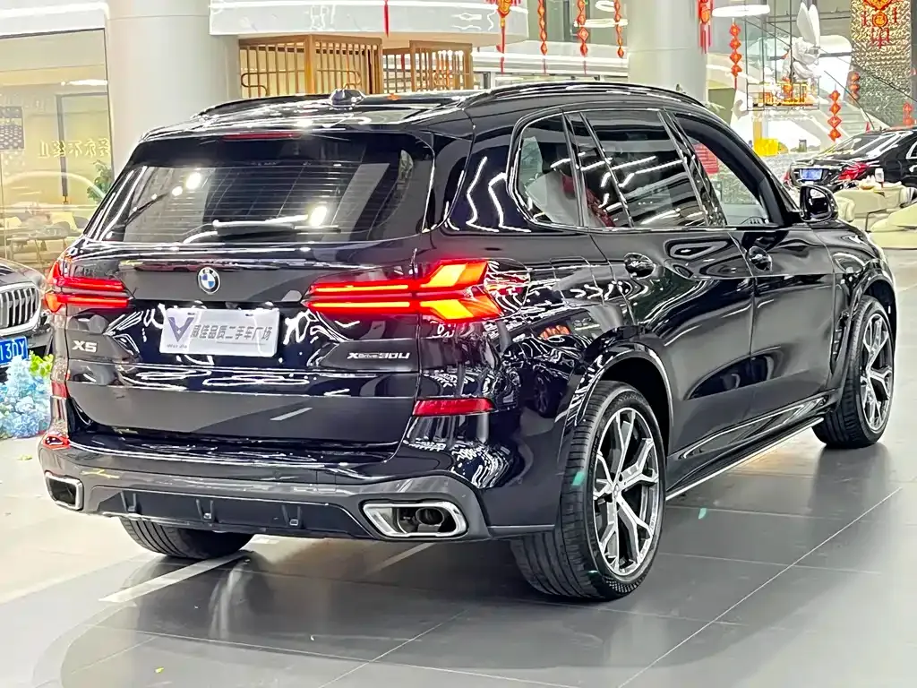 BMW X5 — фото 10