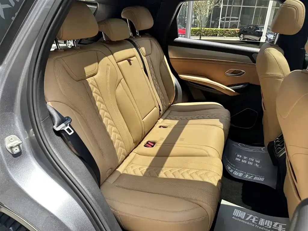 BYD L DM-i — фото 7