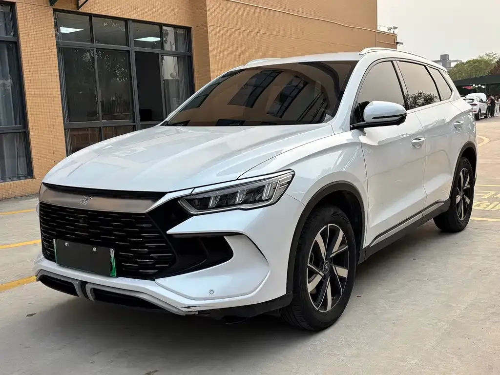 BYD Pro New Energy — фото 1