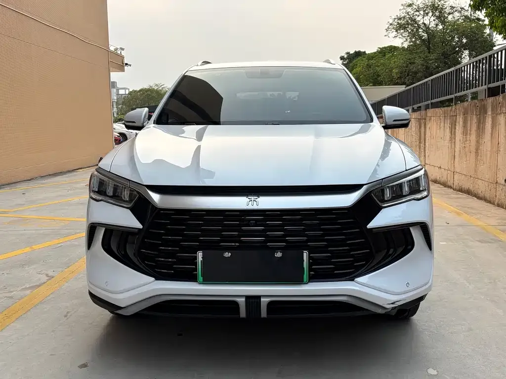BYD Pro New Energy — фото 2