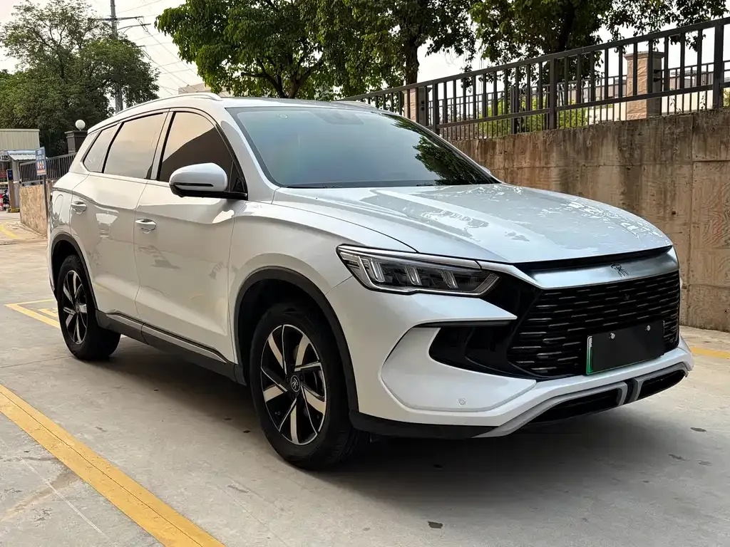 BYD Pro New Energy — фото 4