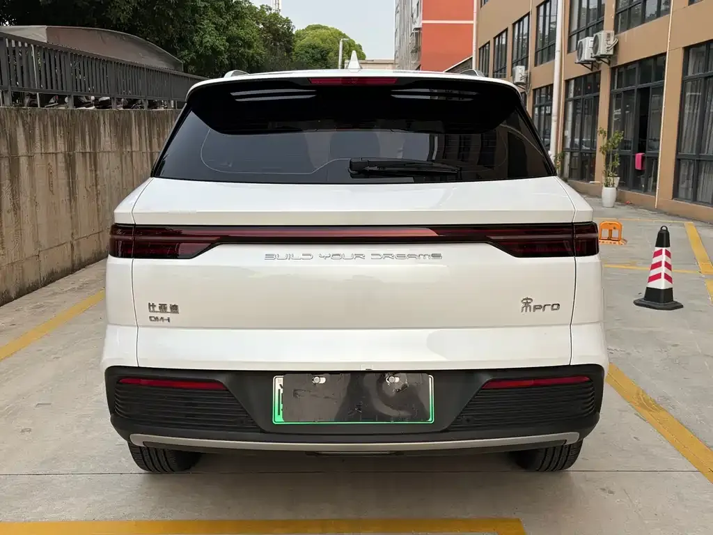 BYD Pro New Energy — фото 6