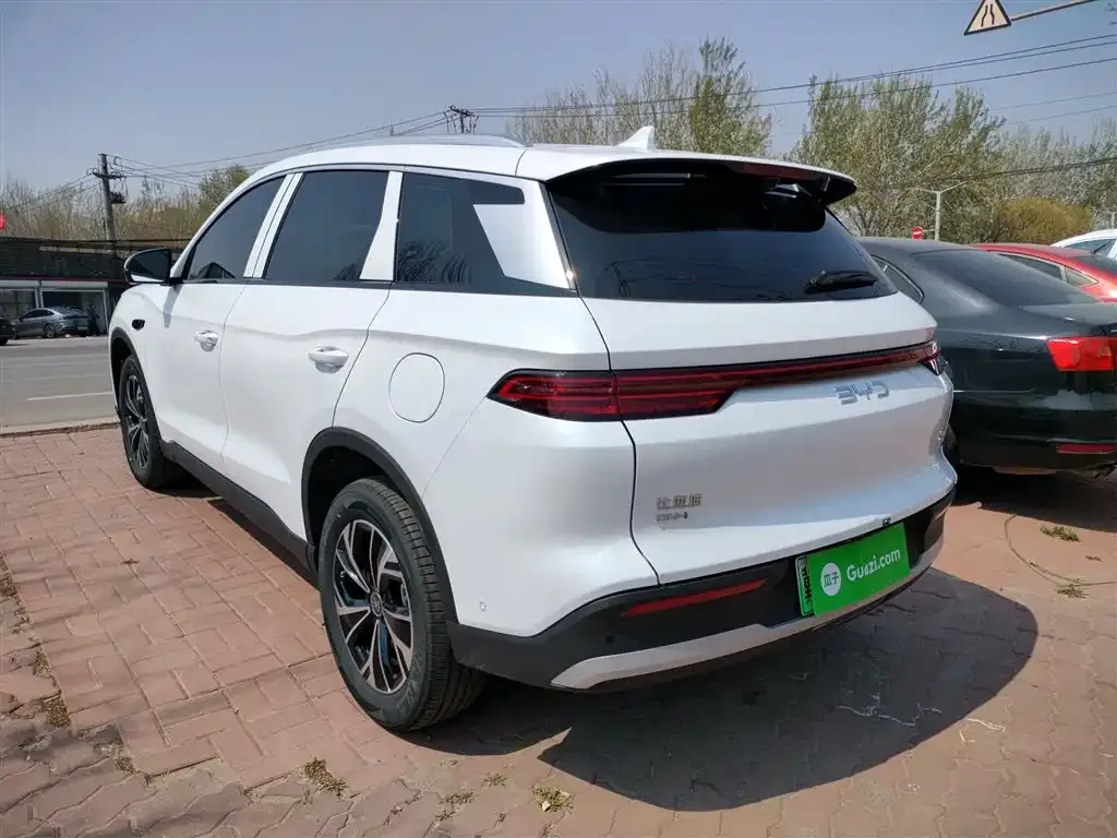 BYD Pro New Energy — фото 6