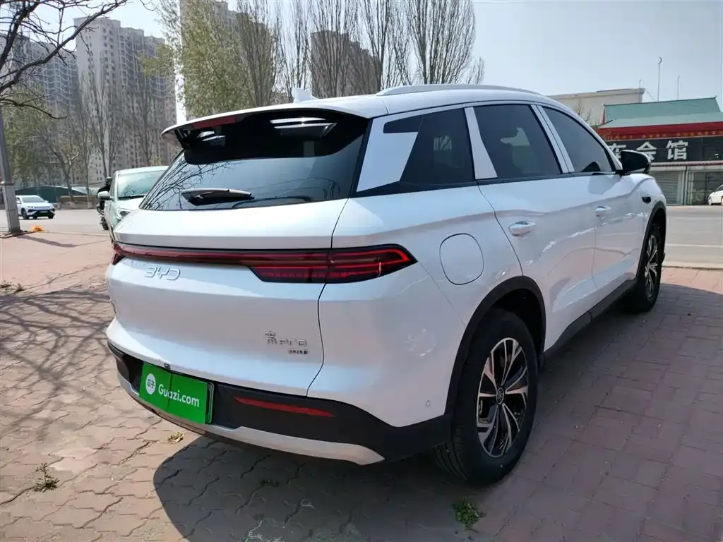BYD Pro New Energy — фото 9