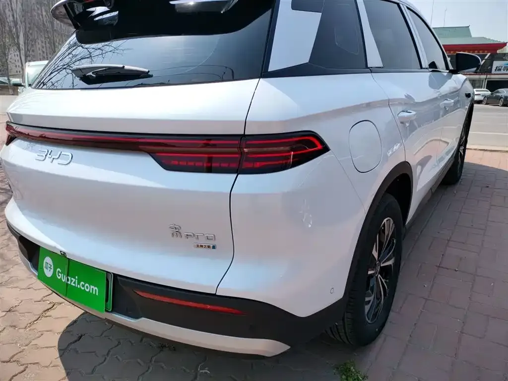 BYD Pro New Energy — фото 4