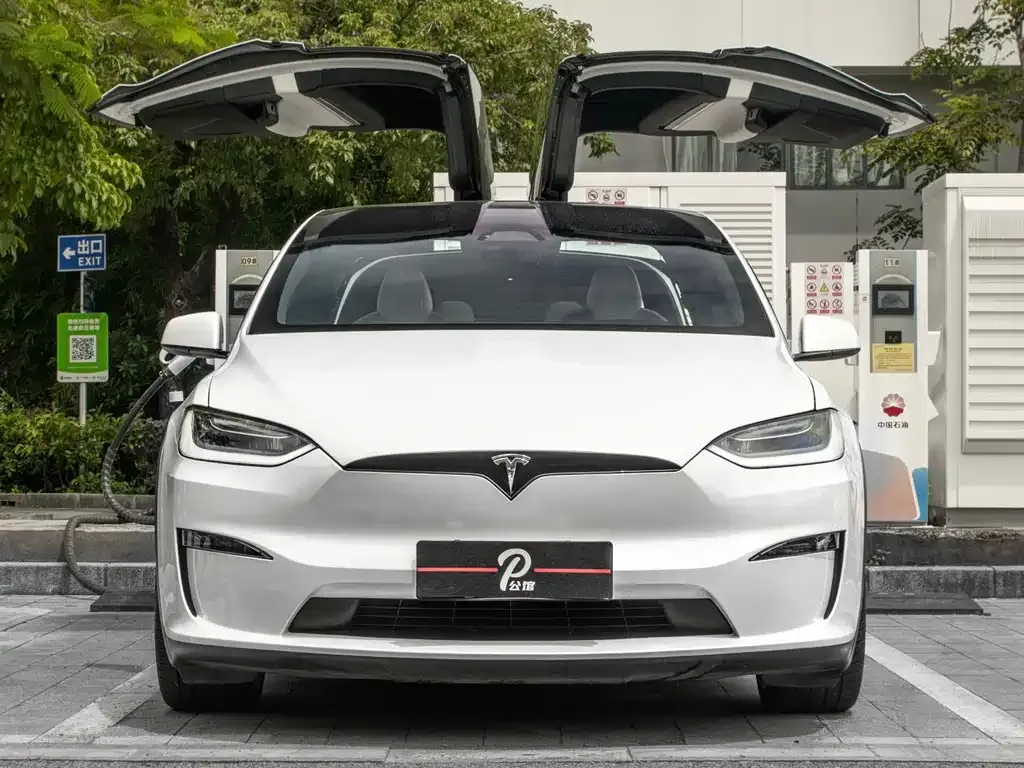 Tesla Model X — фото 8