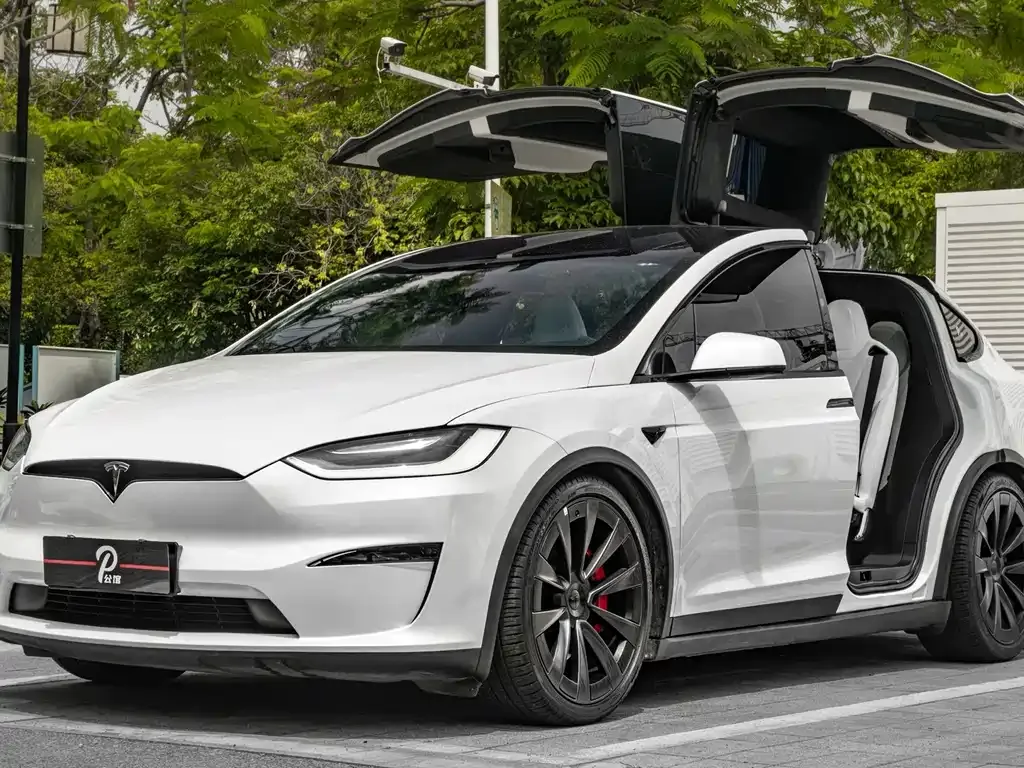 Tesla Model X — фото 10