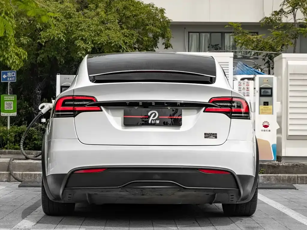 Tesla Model X — фото 7