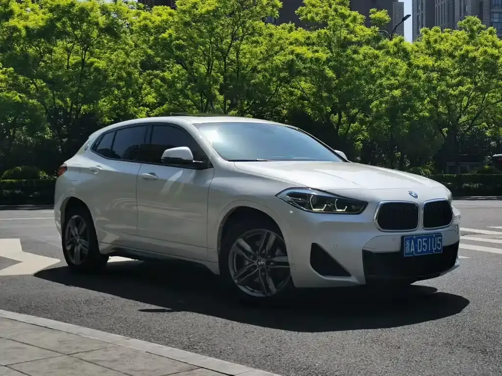 BMW X2 — фото 9