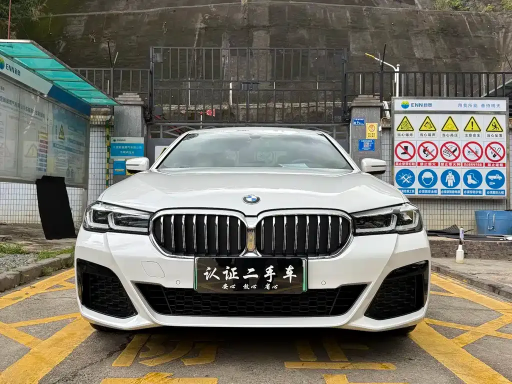 BMW 5 Series New Energy — фото 7