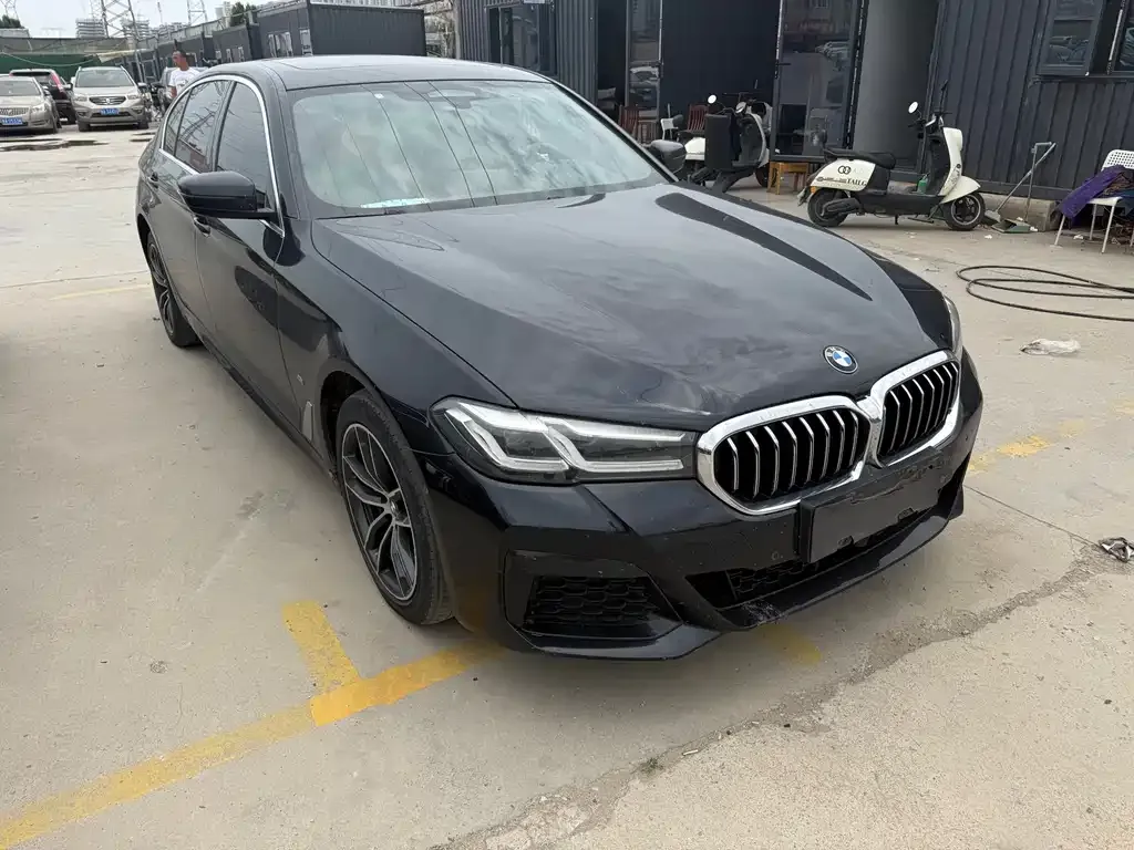 BMW 5 Series New Energy — фото 5