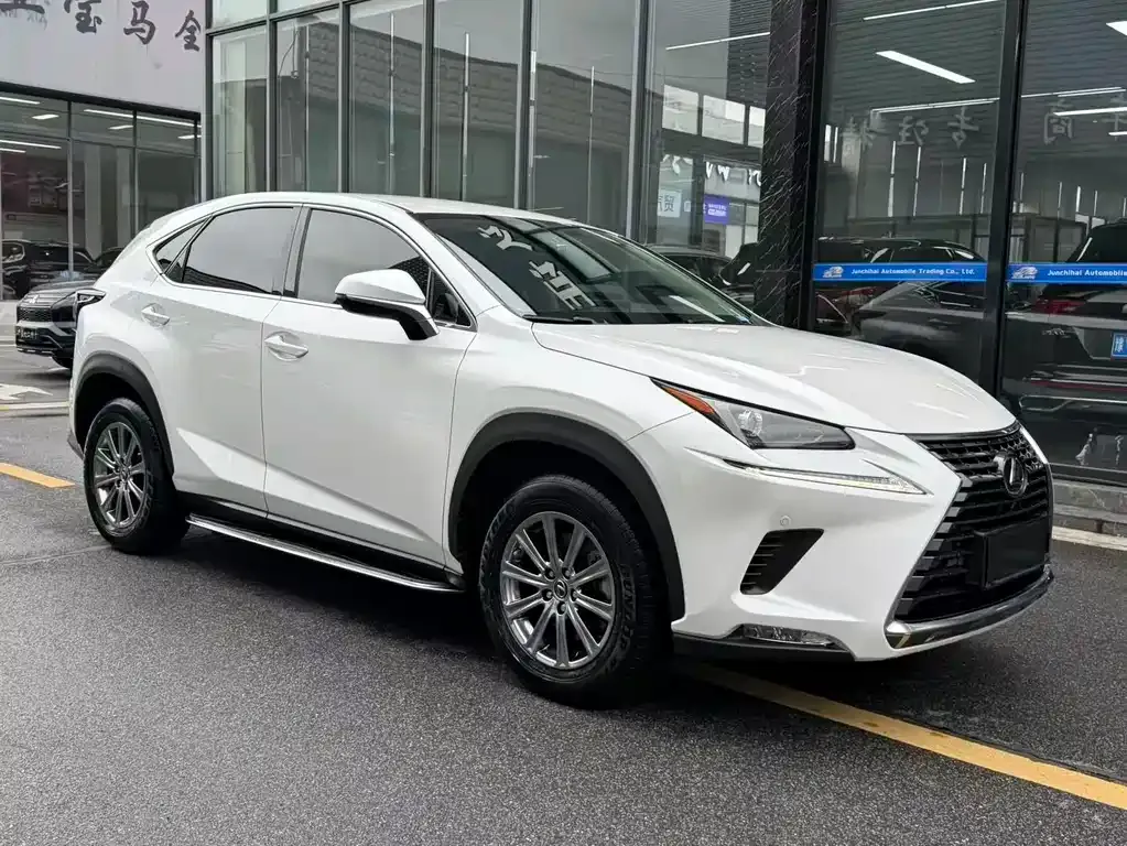 Lexus NX — фото 10