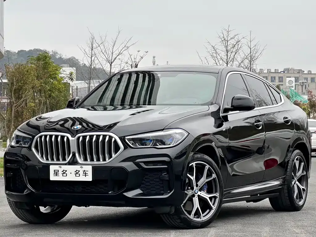 BMW X6 — фото 1