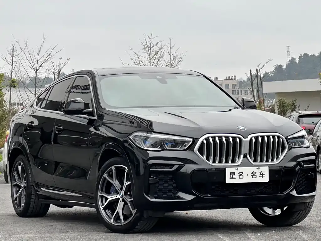 BMW X6 — фото 5