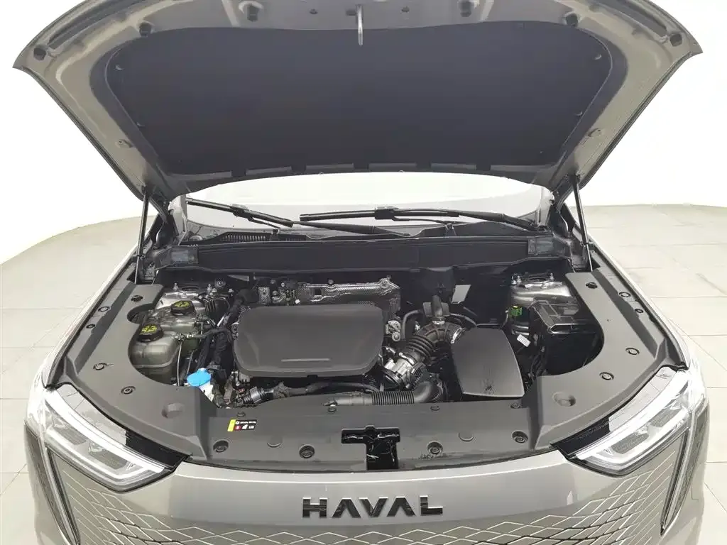 Haval Xiaolong MAX — фото 10