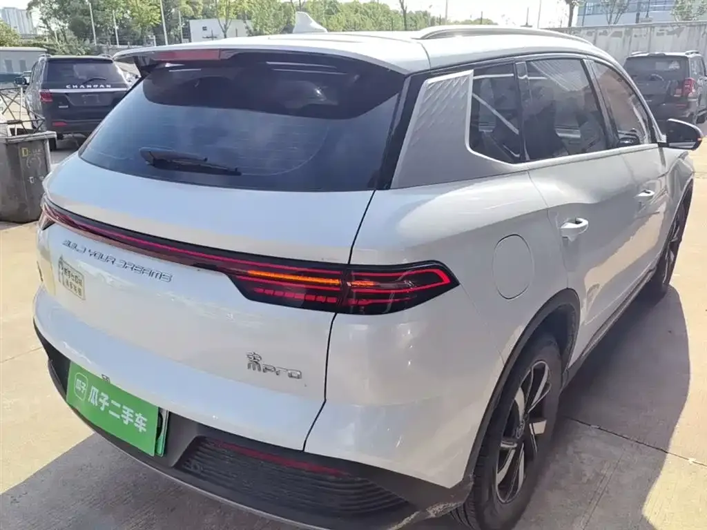 BYD Pro New Energy — фото 10