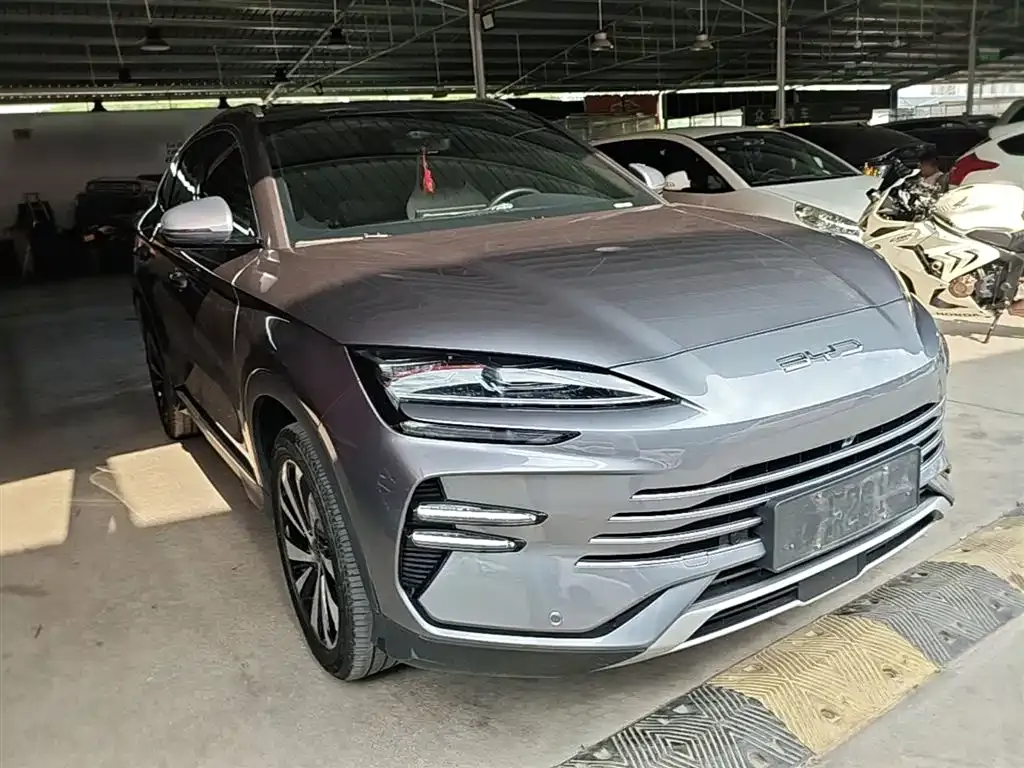 BYD PLUS New Energy — фото 3