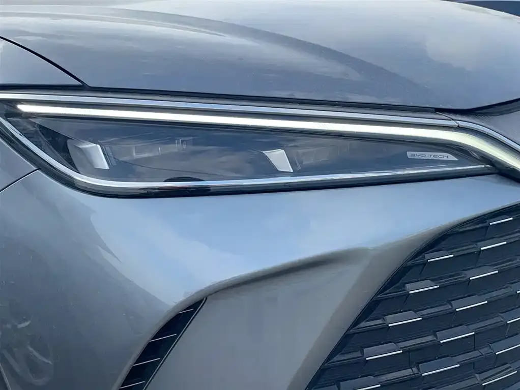BYD L DM-i — фото 6