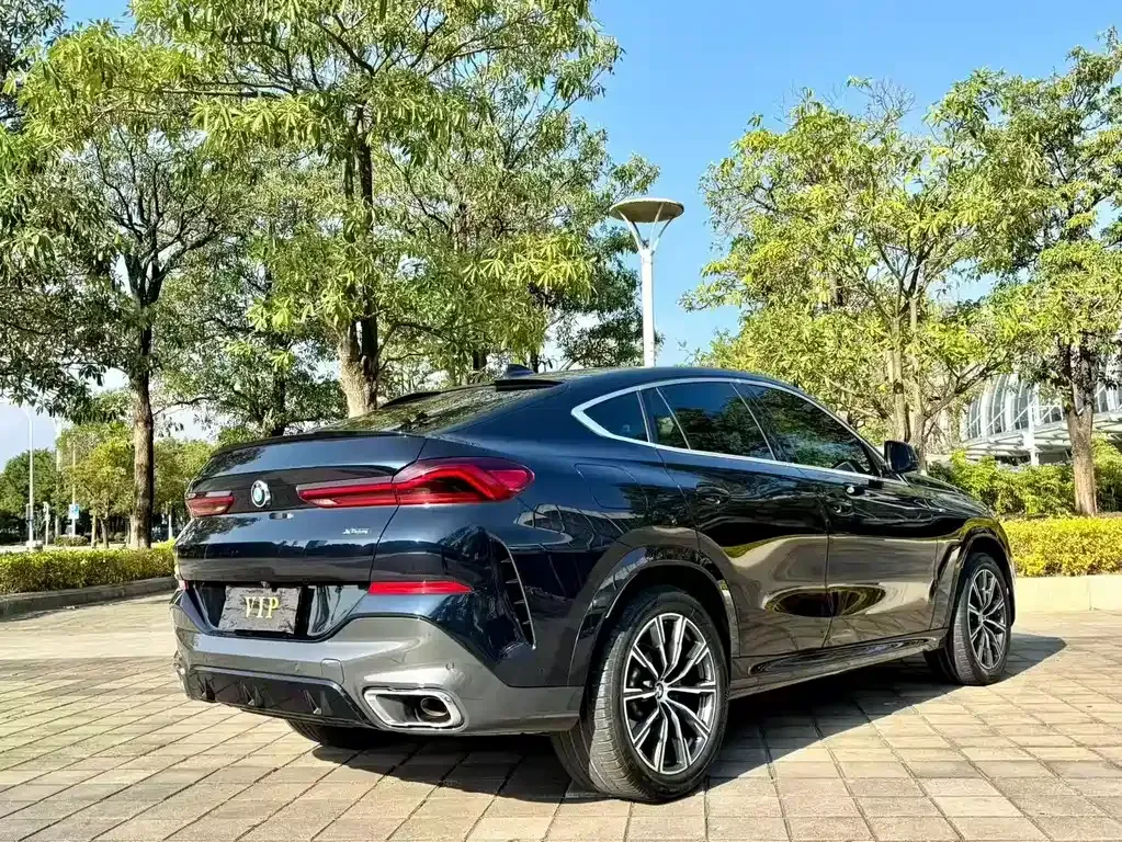 BMW X6 — фото 5