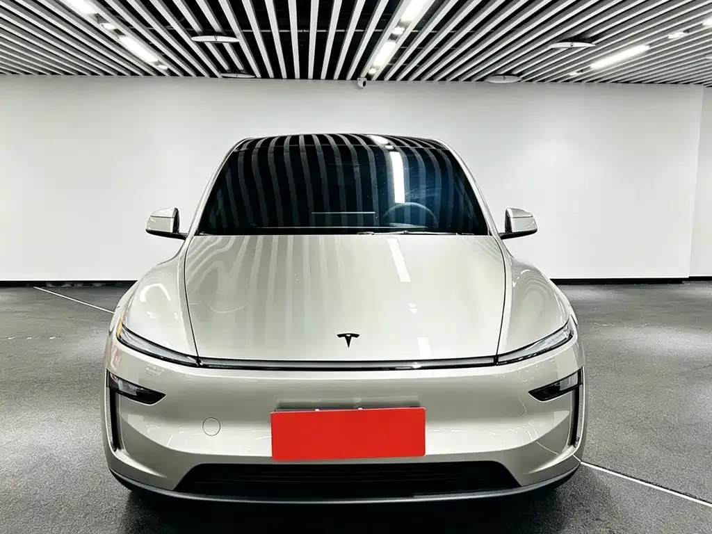 Tesla Model Y L — фото 6