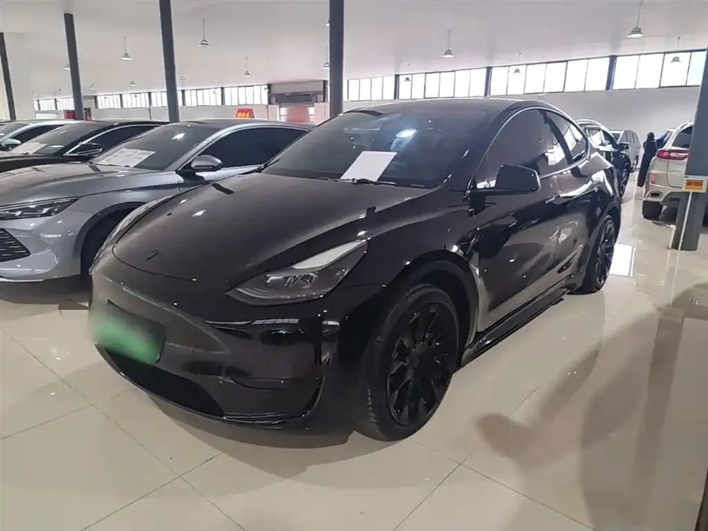 Tesla Model Y — фото 6