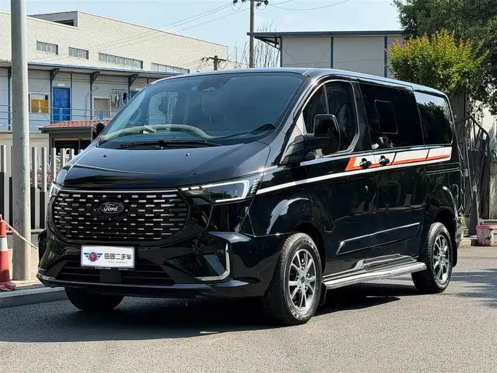 Ford Tourneo — фото 1