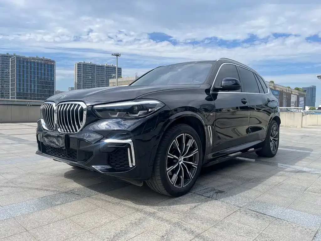 BMW X5 — фото 1