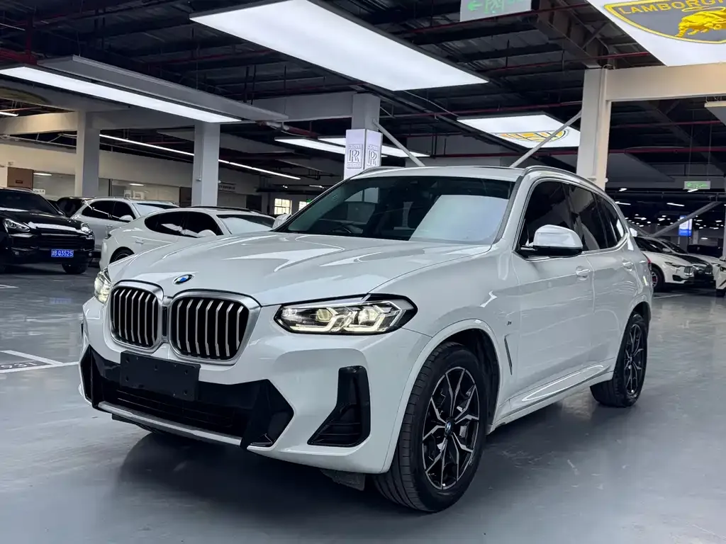 BMW X3 — фото 1