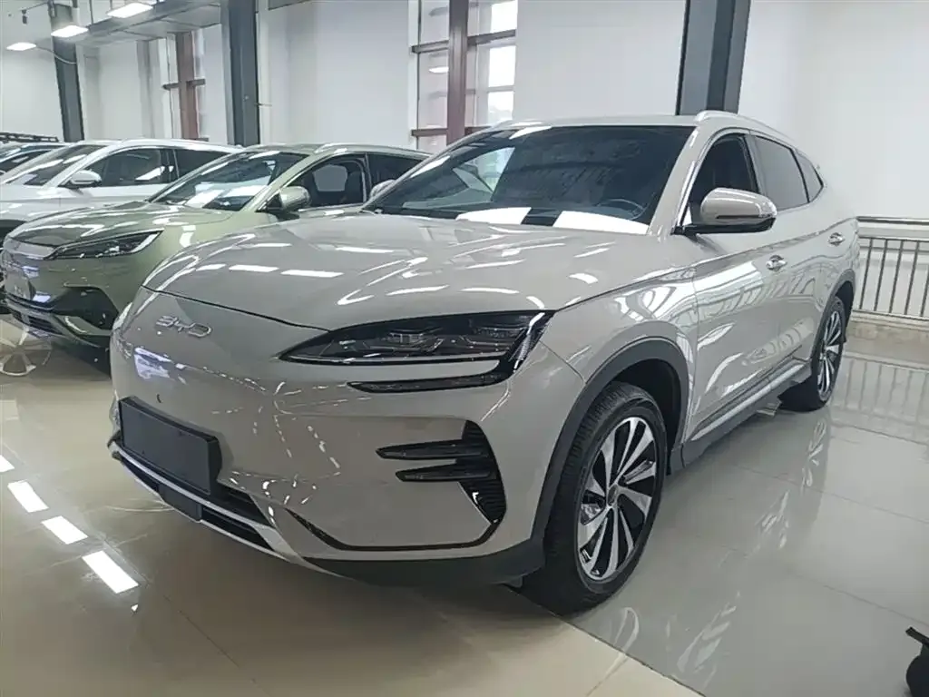 BYD PLUS New Energy — фото 1