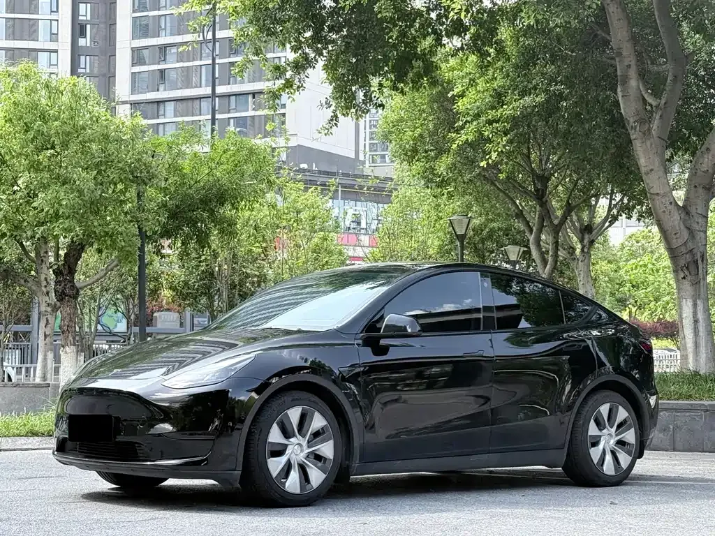 Tesla Model Y — фото 1