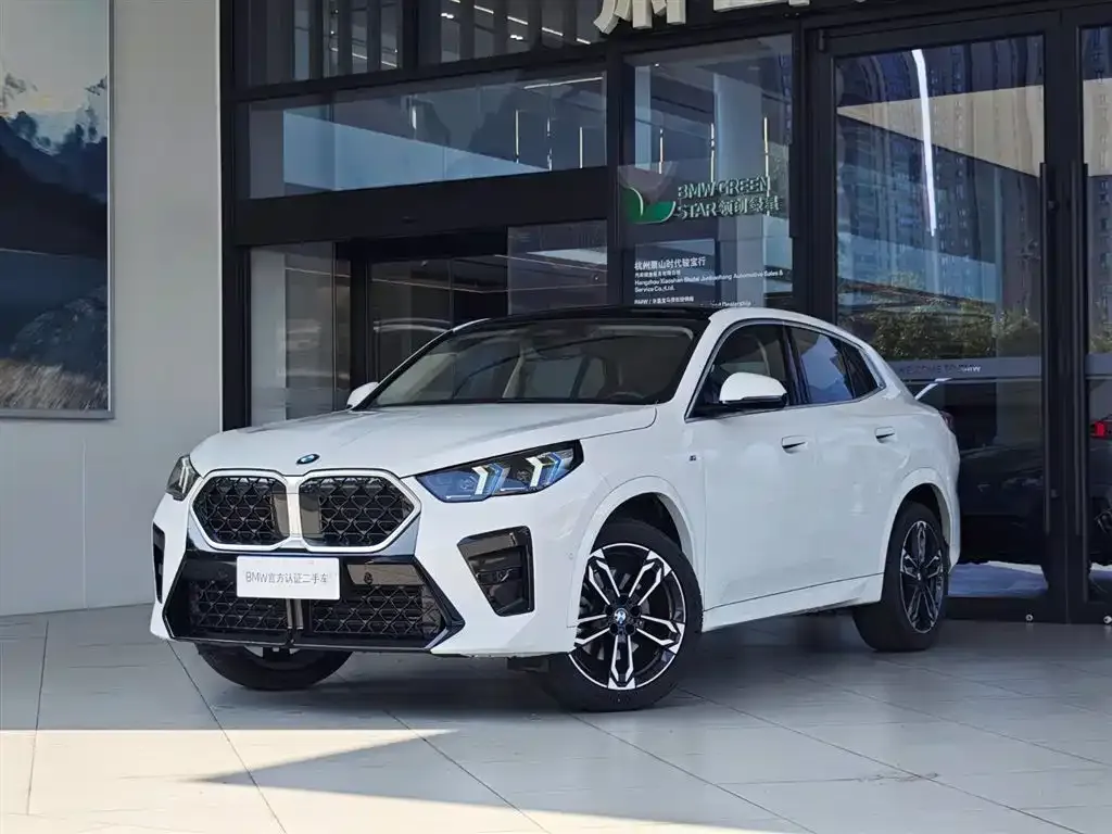 BMW X2 (Import) — фото 1