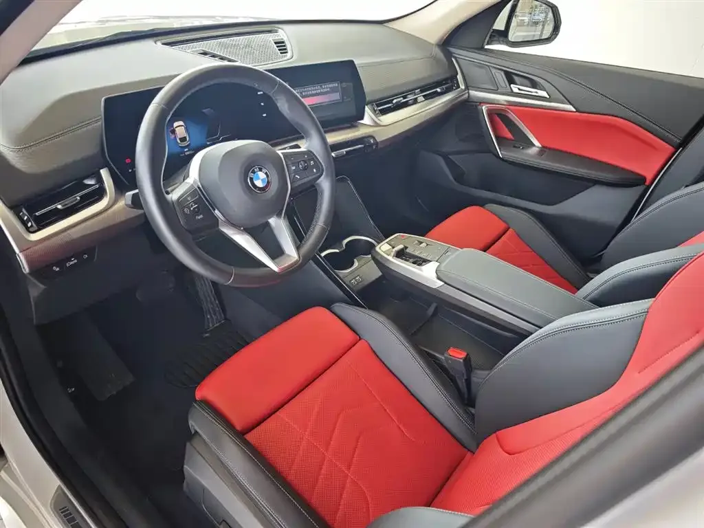 BMW X2 (Import) — фото 9