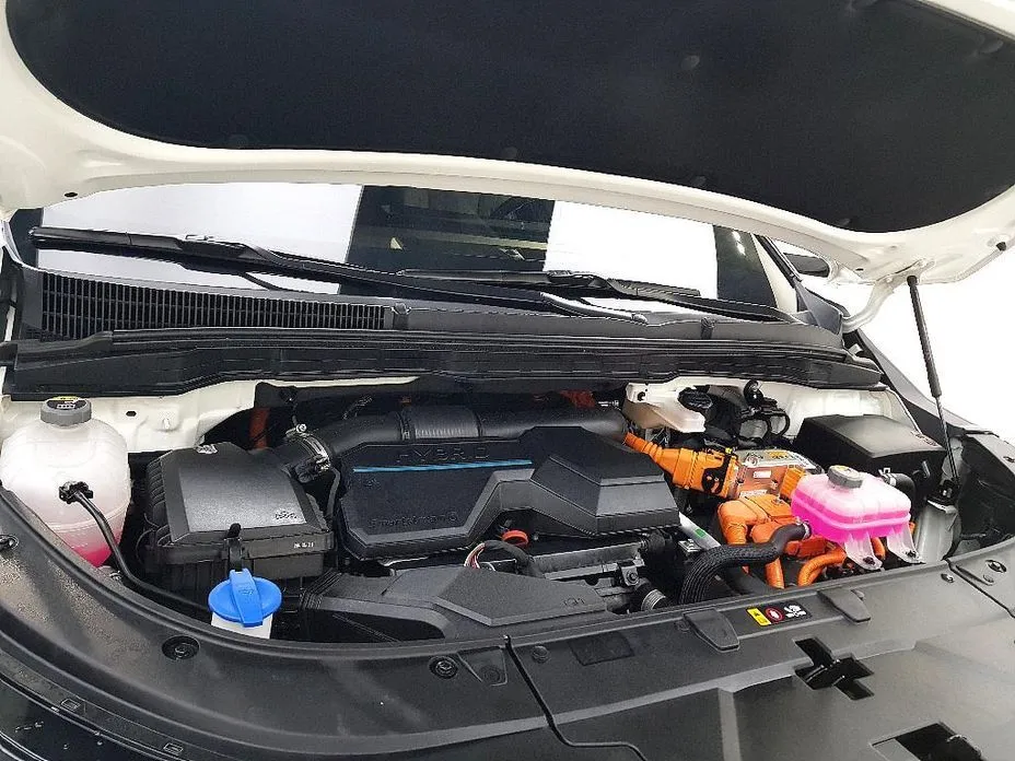 Kia Carnival — фото 10