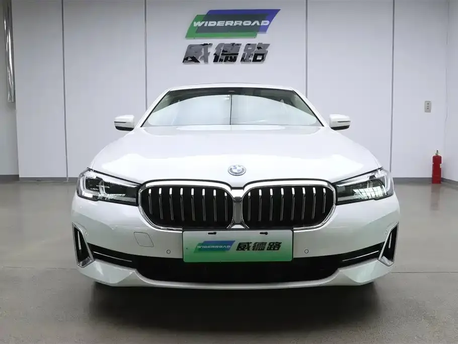 BMW 5 Series New Energy — фото 2