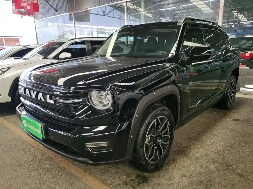 Haval H7 (Big Dog Plus) New Energy — фото 8