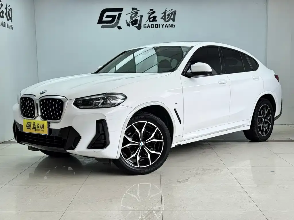 BMW X4 — фото 1