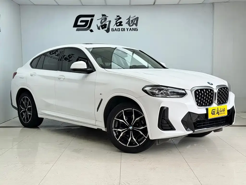 BMW X4 — фото 8