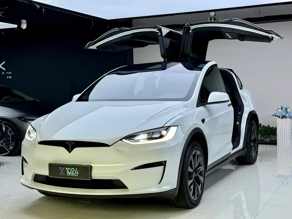 Tesla Model X — фото 1