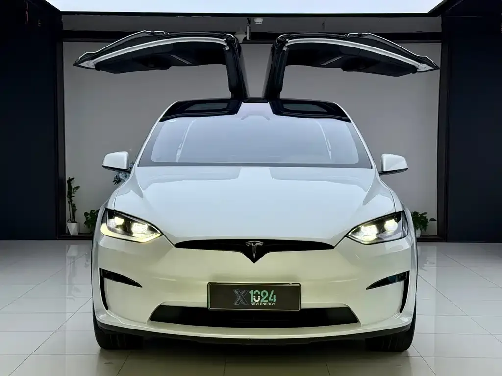 Tesla Model X — фото 2
