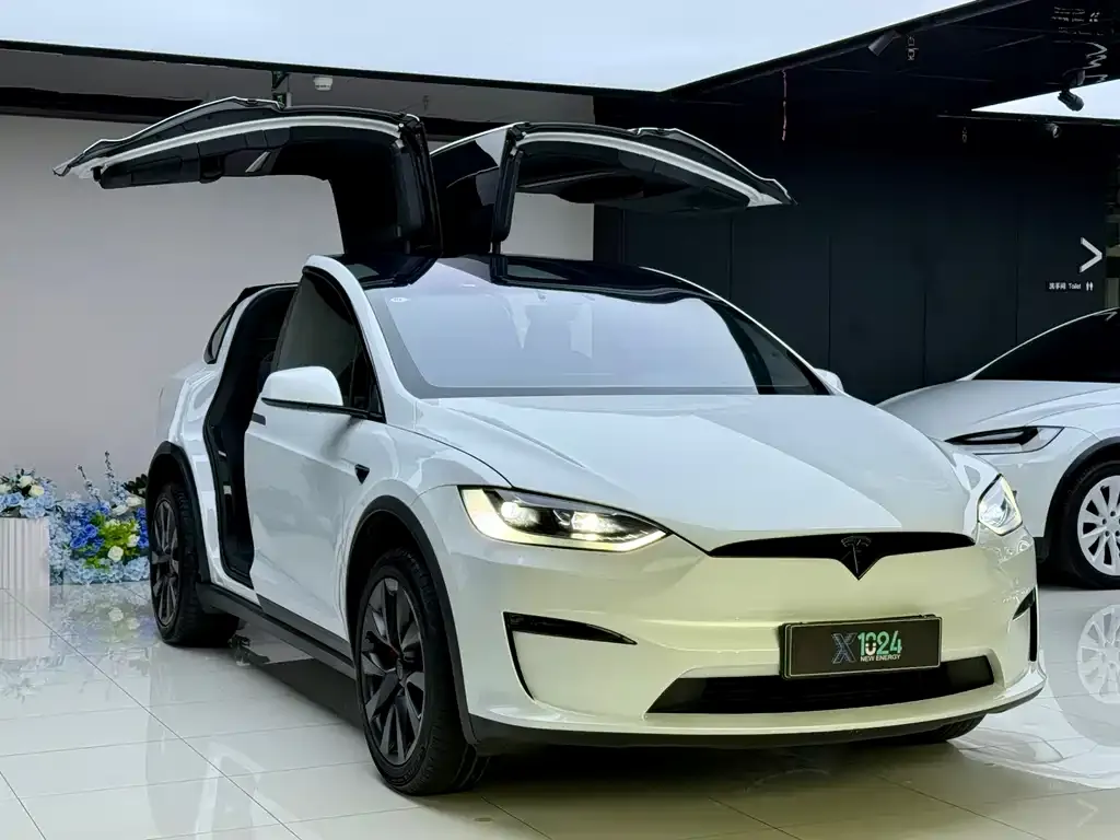 Tesla Model X — фото 5