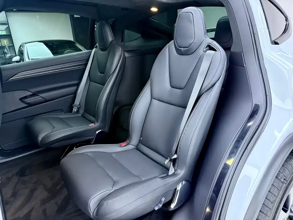 Tesla Model X — фото 6