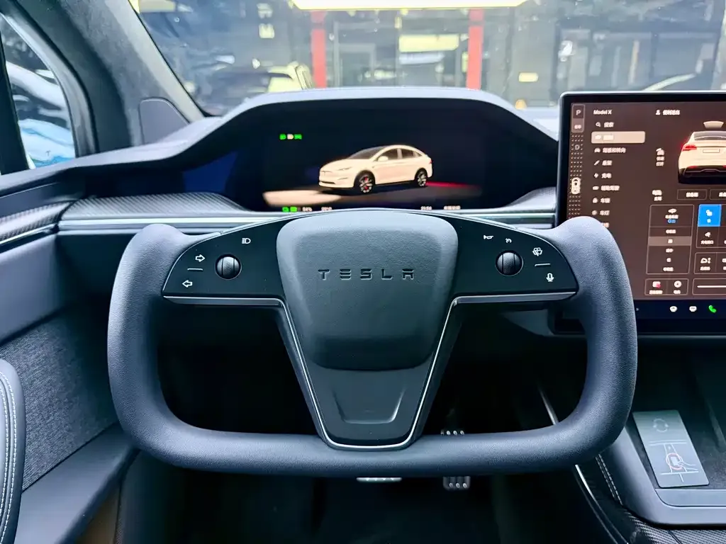 Tesla Model X — фото 8
