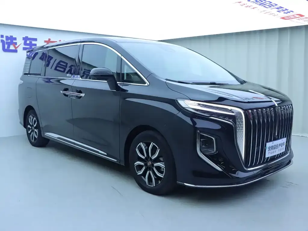 Hongqi HQ9 — фото 6