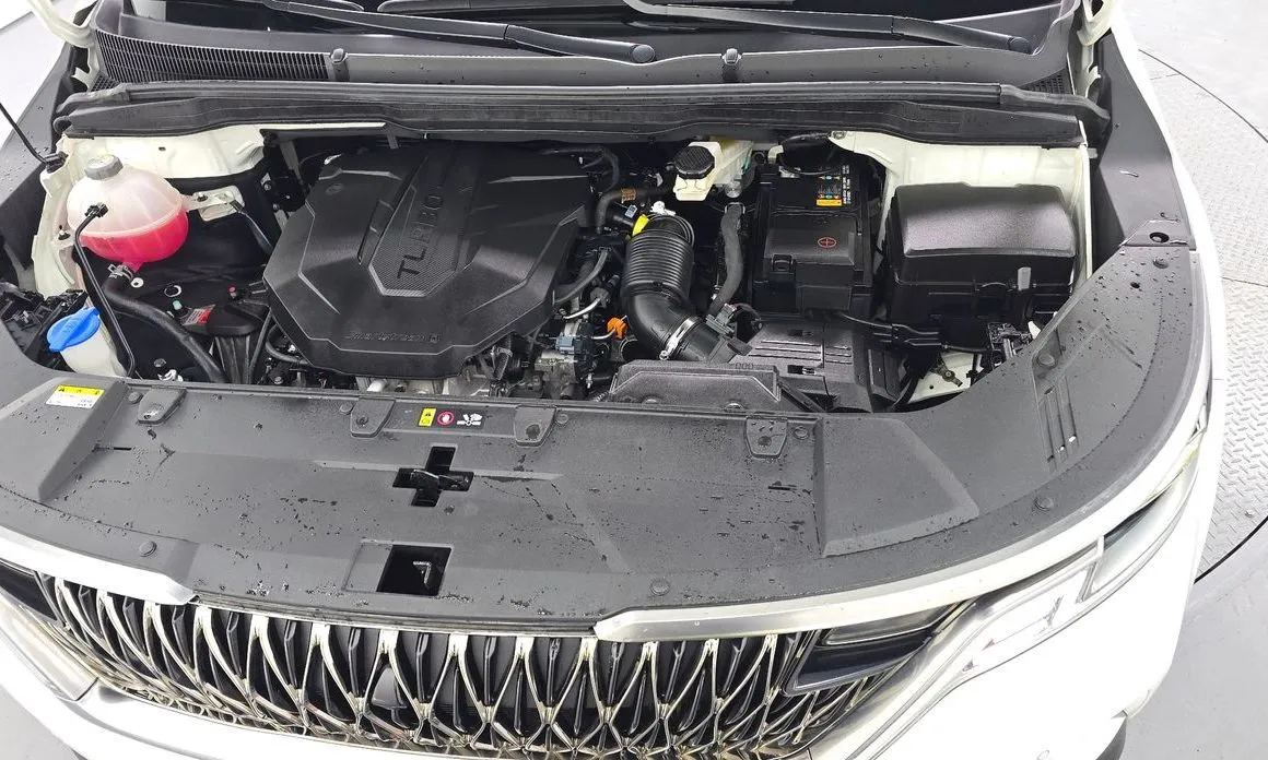 Kia Carnival — фото 10