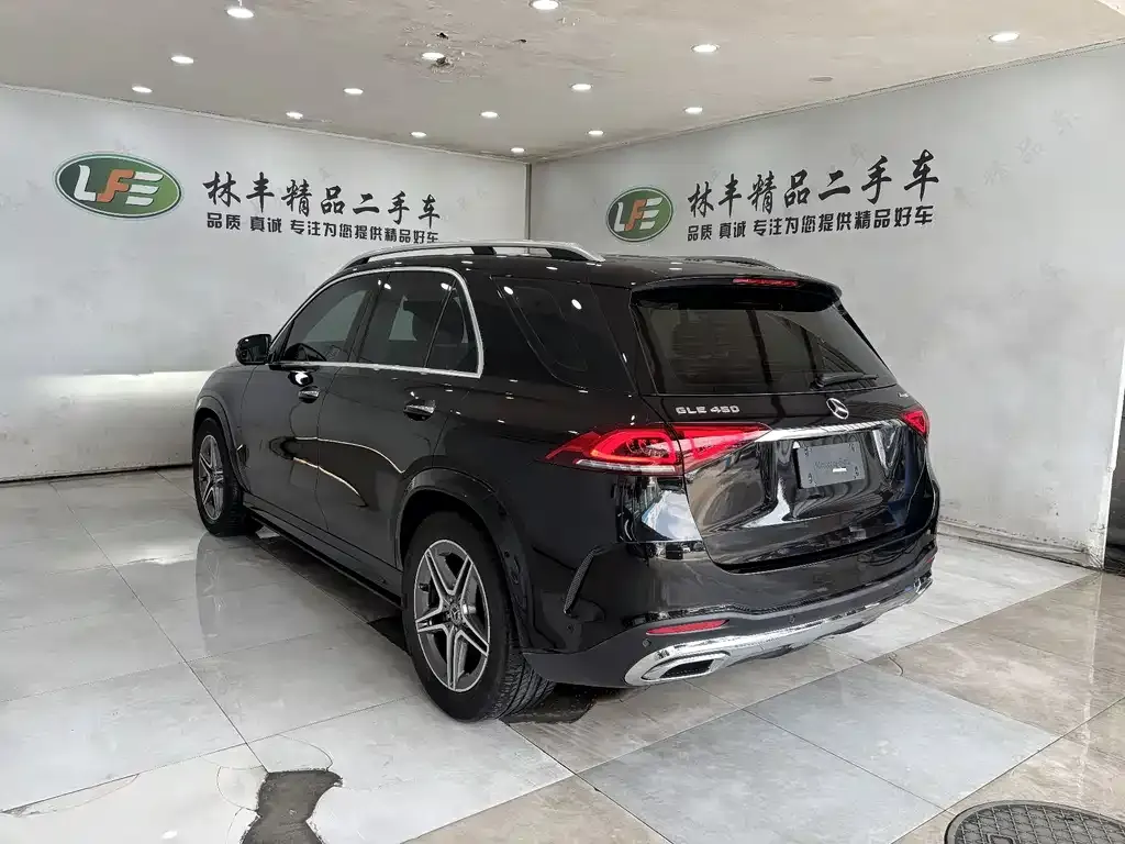 Mercedes-Benz 奔驰GLE(进口) — фото 6
